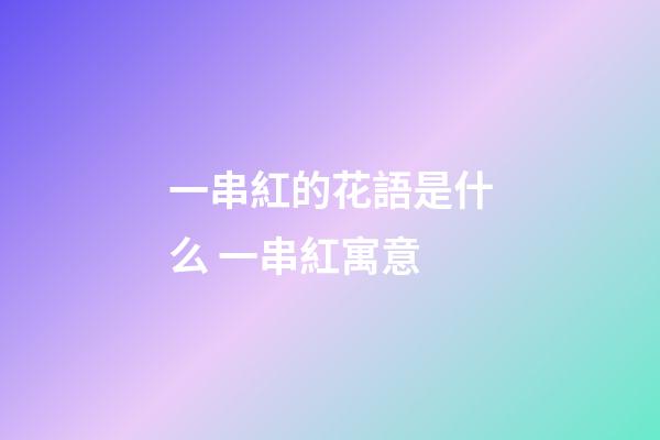 一串紅的花語是什么 一串紅寓意